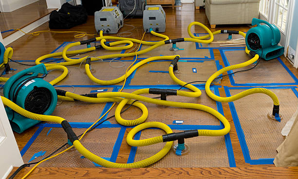 Professional Basement Flood Cleanup technician working in Boonville, IN